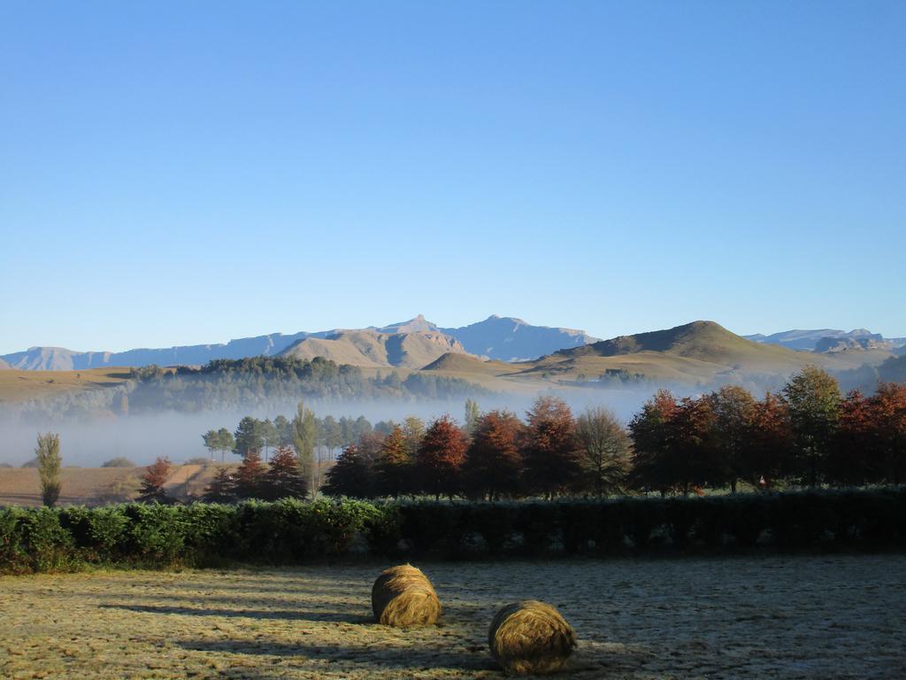 Pennygum Country Cottages 언더버그 외부 사진
